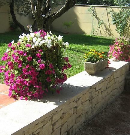 Clos Marjolie Otel Caromb Dış mekan fotoğraf