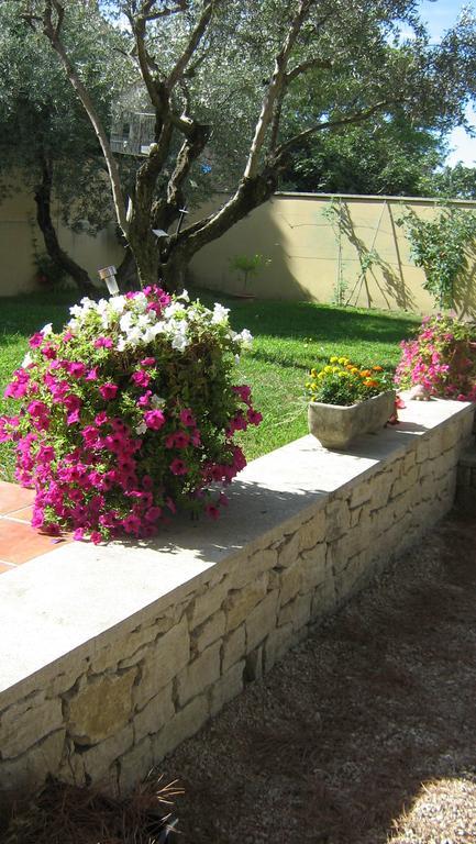 Clos Marjolie Otel Caromb Dış mekan fotoğraf